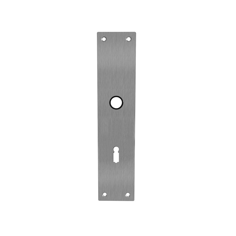 Schild renovatie rechthoekig 250 x 55mm x 2mm sleutelgat 56mm RVS