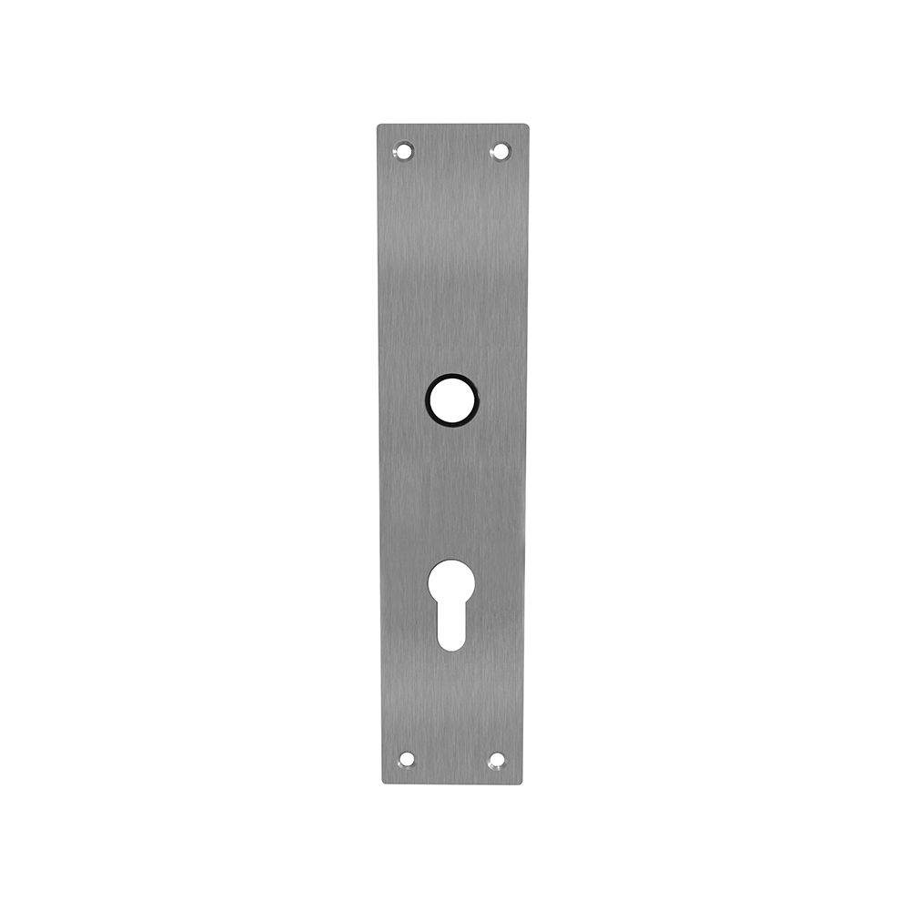 Schild renovatie rechthoekig 250 x 55mm x 2mm profielcilindergat 92mm RVS