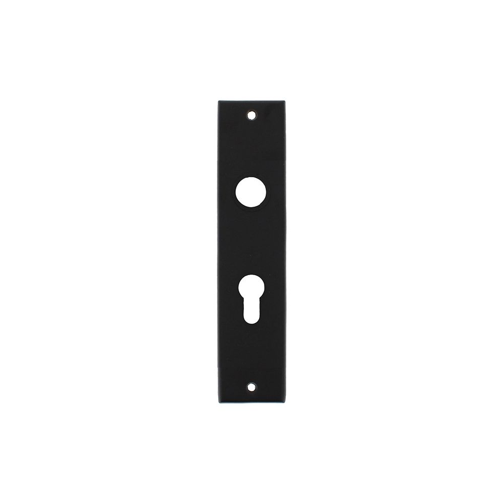 Schild renovatie rechthoekig 250 x 55mm x 2mm blind zwart
