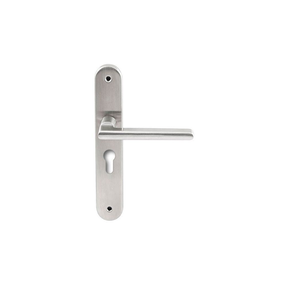 Deurkruk Athene RVS op ovaal langschild profielcilinder 55mm