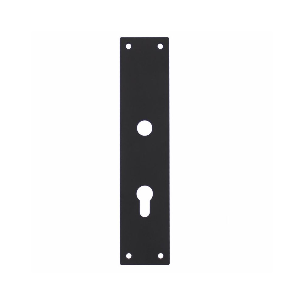Schild renovatie rechthoekig 250 x 55mm x 2mm profielcilindergat 72mm RVS/mat zwart