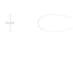 Knop langschild blind rvs
