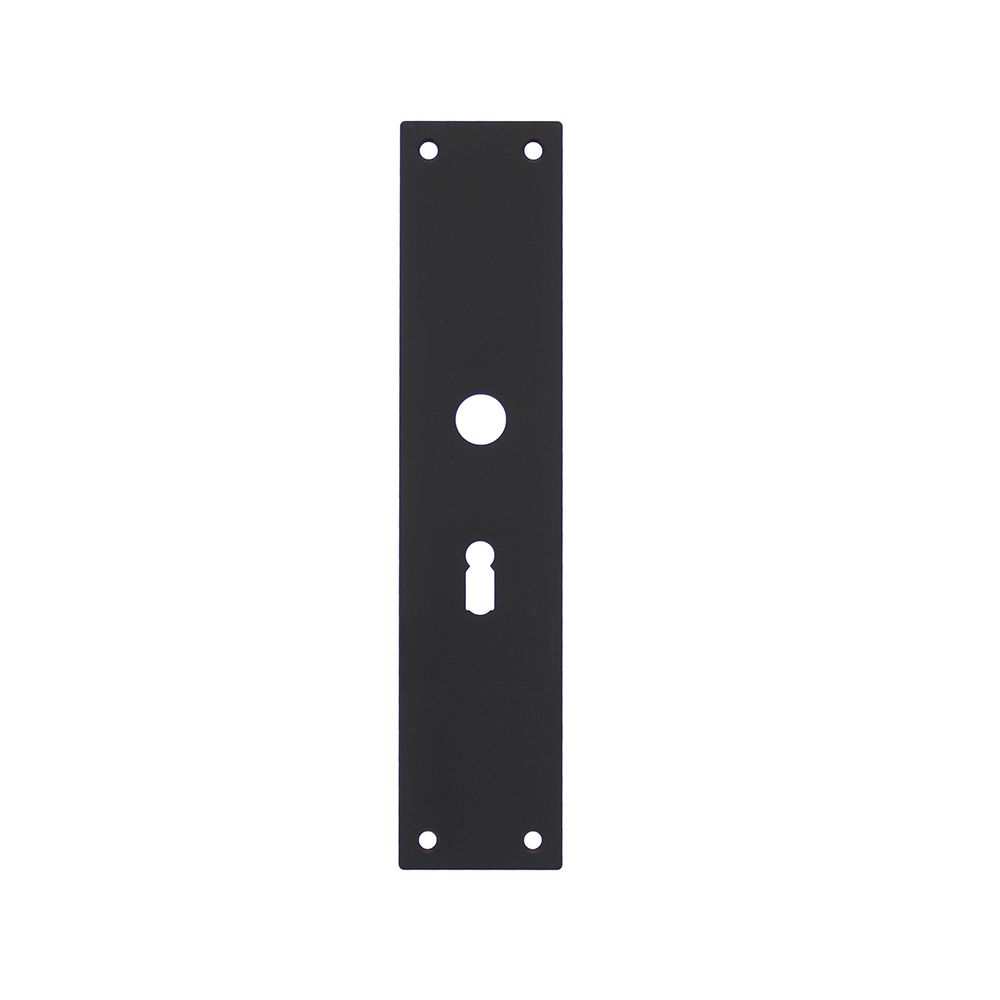 Schild renovatie rechthoekig 250 x 55mm x 2m sleutelgat 56mm RVS mat zwart