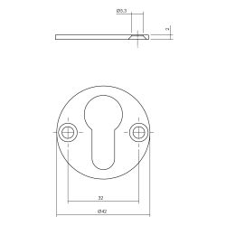 Rozet met profielcilindergat verdekt 42x2mm RVS