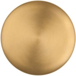 Blind plaatje Edward van Vliet NOUR EVB52 blind - PVD mat goud