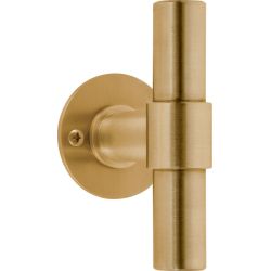 Piet Boon ONE PBT20V/50 massieve knop vast op rozet - PVD mat goud