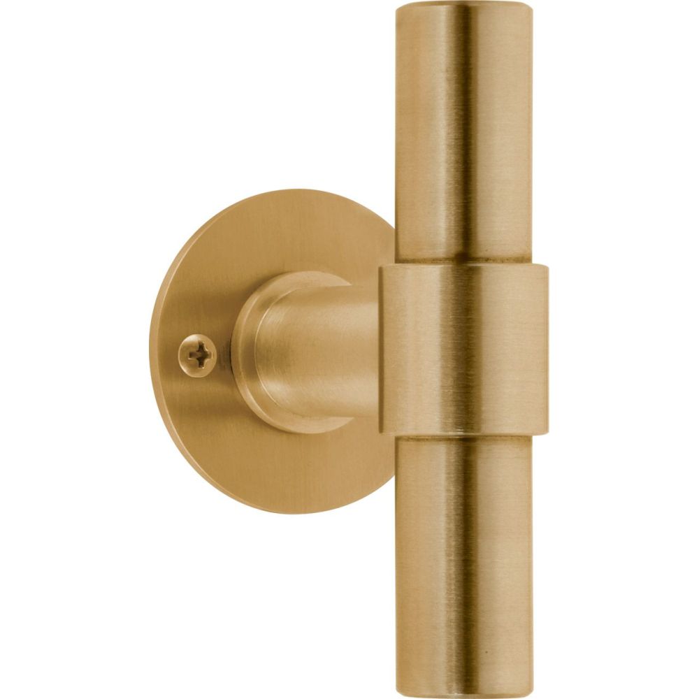 Piet Boon ONE PBT20V/50 massieve knop vast op rozet - PVD mat goud