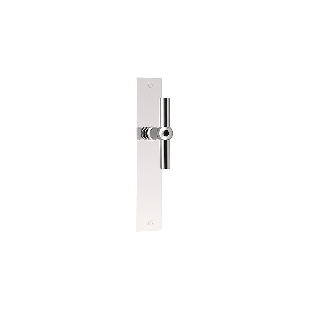 Deurkruk FERROVIA FVT110P236SFC T-model ongeveerd op schild blind - gepolijst RVS