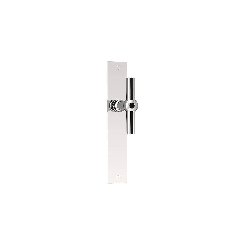 Deurkruk FERROVIA FVT125P236SFC T-model ongeveerd op schild blind - gepolijst RVS