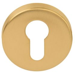 Cilinderplaatje BASICS LBY50D - PVD mat goud