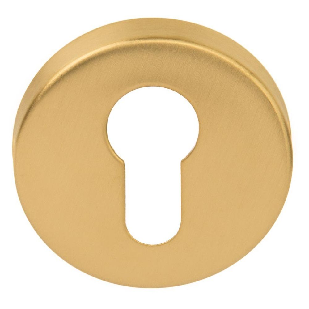 Cilinderplaatje BASICS LBY50D - PVD mat goud