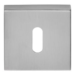Sleutelplaatje BASICS BSQBN53 vierkant - mat RVS