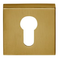 Cilinder plaatje BASICS BSQBY53 vierkant - PVD mat goud
