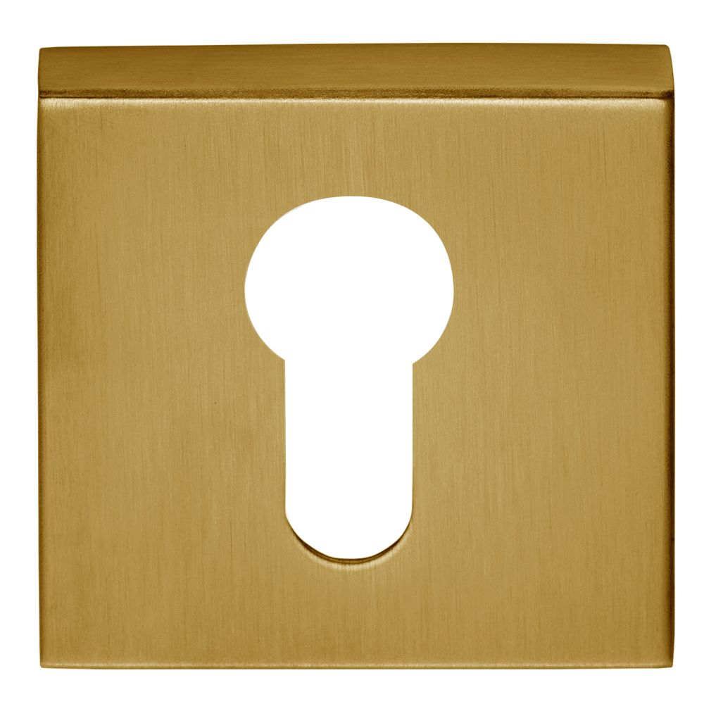 Cilinder plaatje BASICS BSQBY53 vierkant - PVD mat goud