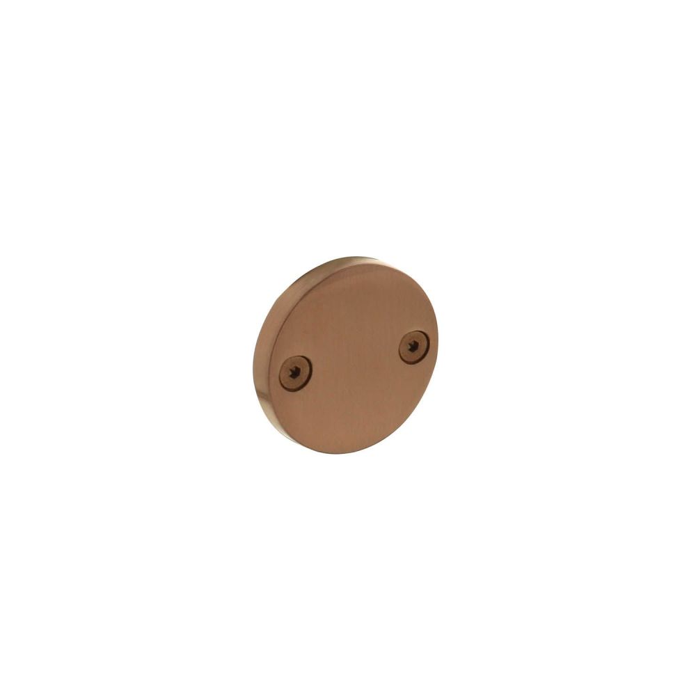 Intersteel afdekrozet Shiraat ø55x8 mm met schroefgaten - PVD koper mat