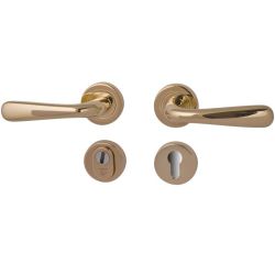 Achterdeurset Silvia compleet - PVD messing