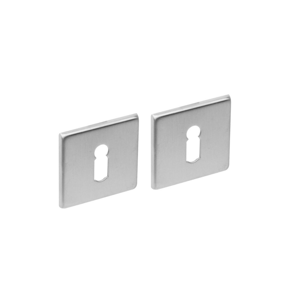 Intersteel rozetten vierkant met sleutelgat plat verdekt 50x5mm - RVS