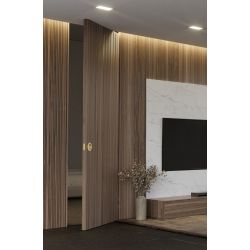 DND Dynamic magnetische deursluiter - mat goud