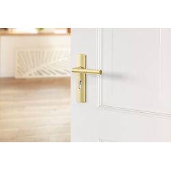 AXA Curve klik deurkruk Milan op schild profielcilindergat 55mm - aluminium/goud