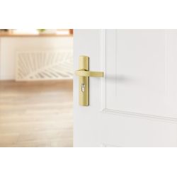 AXA Curve klik deurkruk Blok op schild profielcilindergat 55mm - aluminium/goud