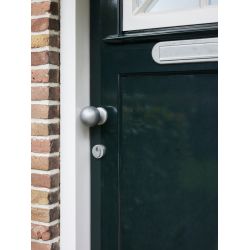 Intersteel voordeurknop bol ø75mm op achterplaat ø66mm éénzijdige montage - PVD RVS getrommeld