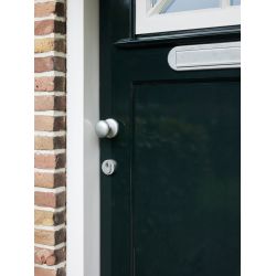 Intersteel voordeurknop paddenstoel ø58mm op achterplaat ø66mm éénzijdige montage - PVD RVS getrommeld