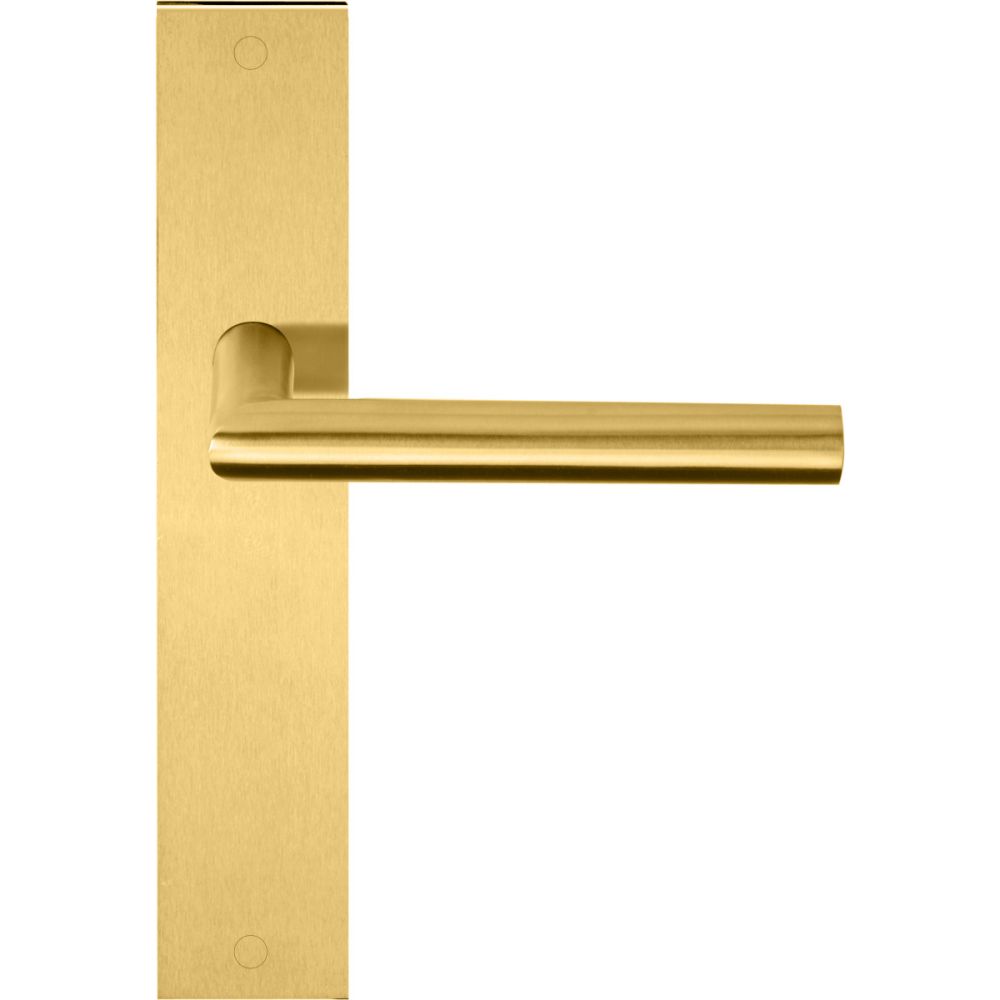 Deurkruk BASICS LB2-19P236SFC ongeveerd op schild blind - PVD mat goud