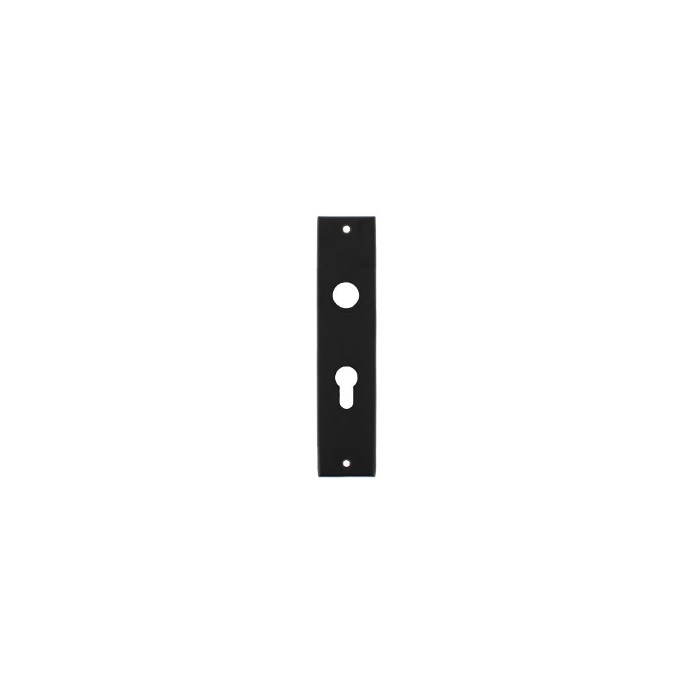 Kortschild rechthoekig profielcilindergat 55mm mat zwart